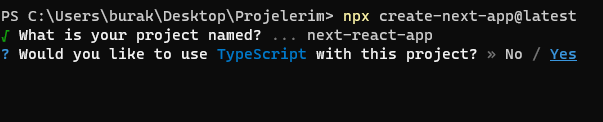 next typescript