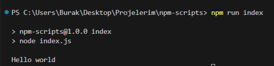 npm run script